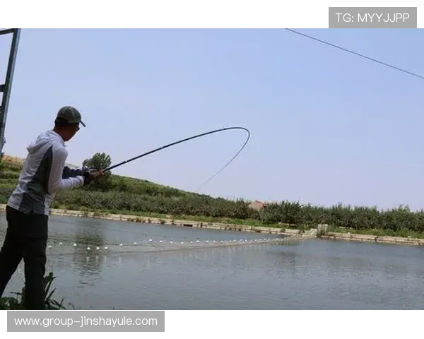 如何找到永乐高官网地址确保安全登录避免钓鱼风险的实用技巧