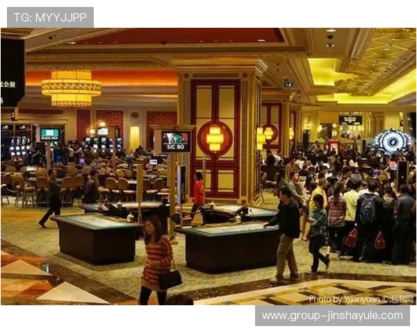 澳门赌场各年龄层玩家偏好与行为特征全面解析与数据统计